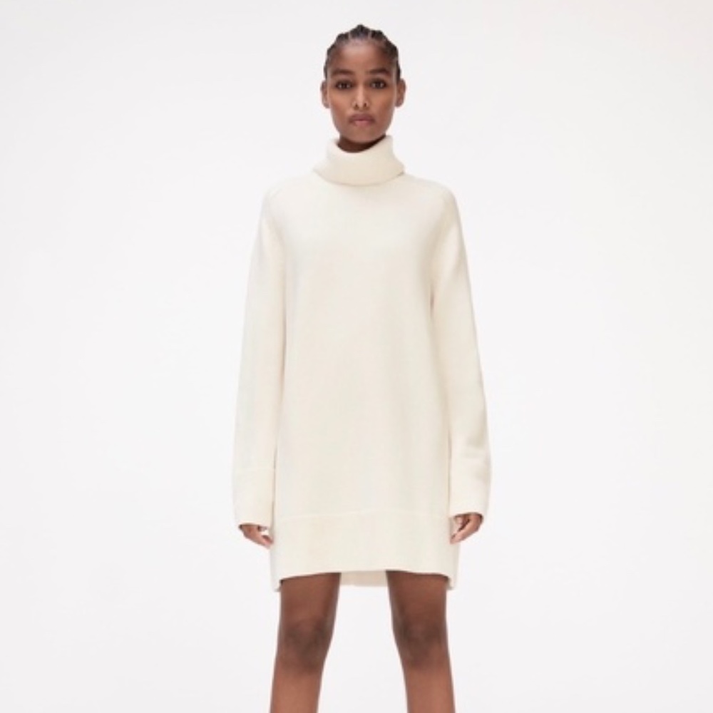 Zara knitted turtle neck dress